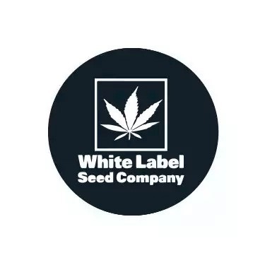Produits White Label Seeds